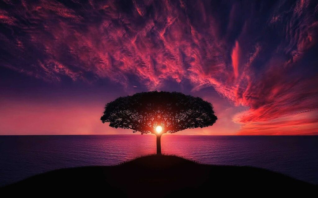 Der Lebensbaum - symbolisch für den Kontakt zur Seelenwelt.