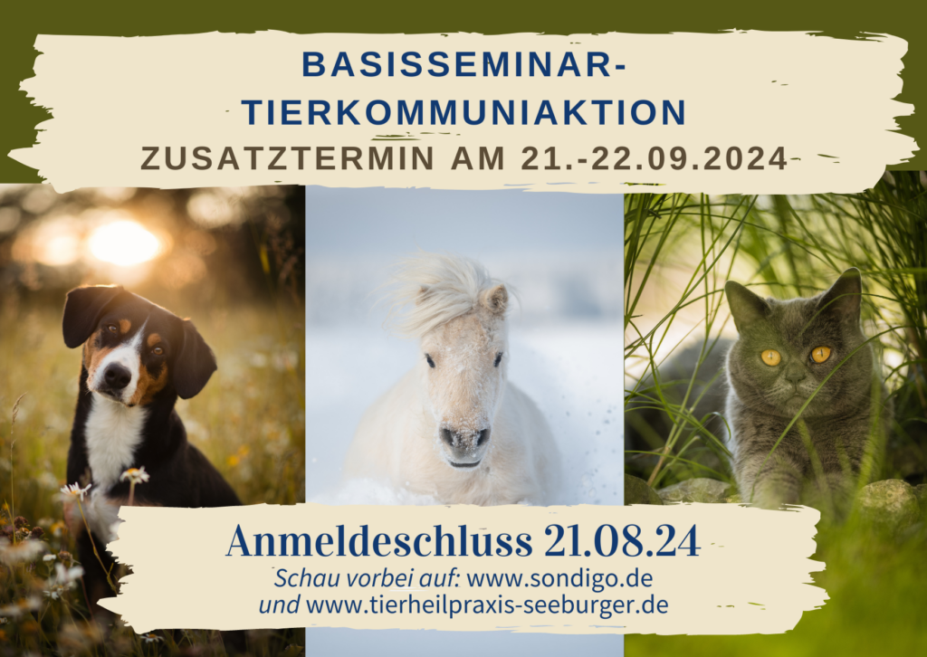 Basisseminar Tierkommunikation