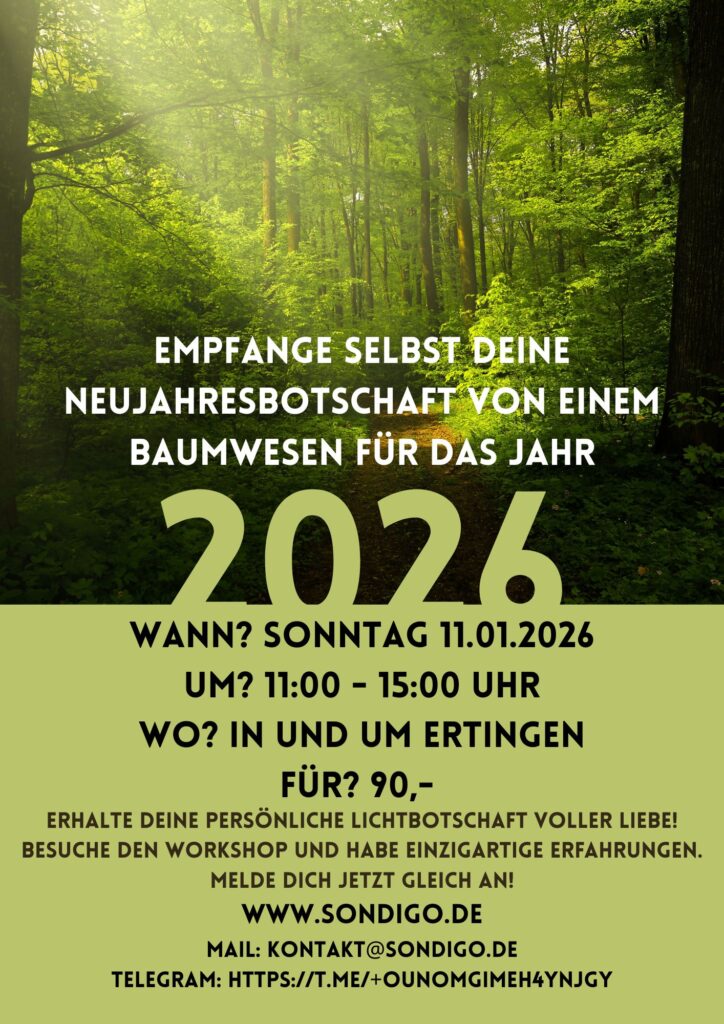 Information über Workshop - Neuhjaresbotschaft 2026